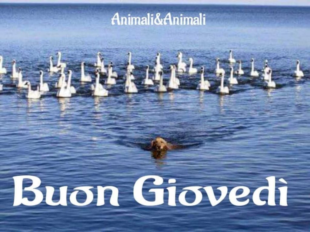 Buon Giovedì