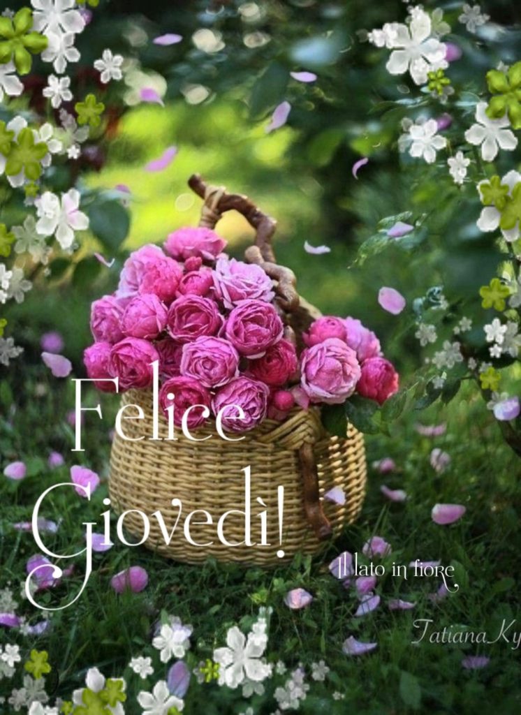 Felice Giovedì!