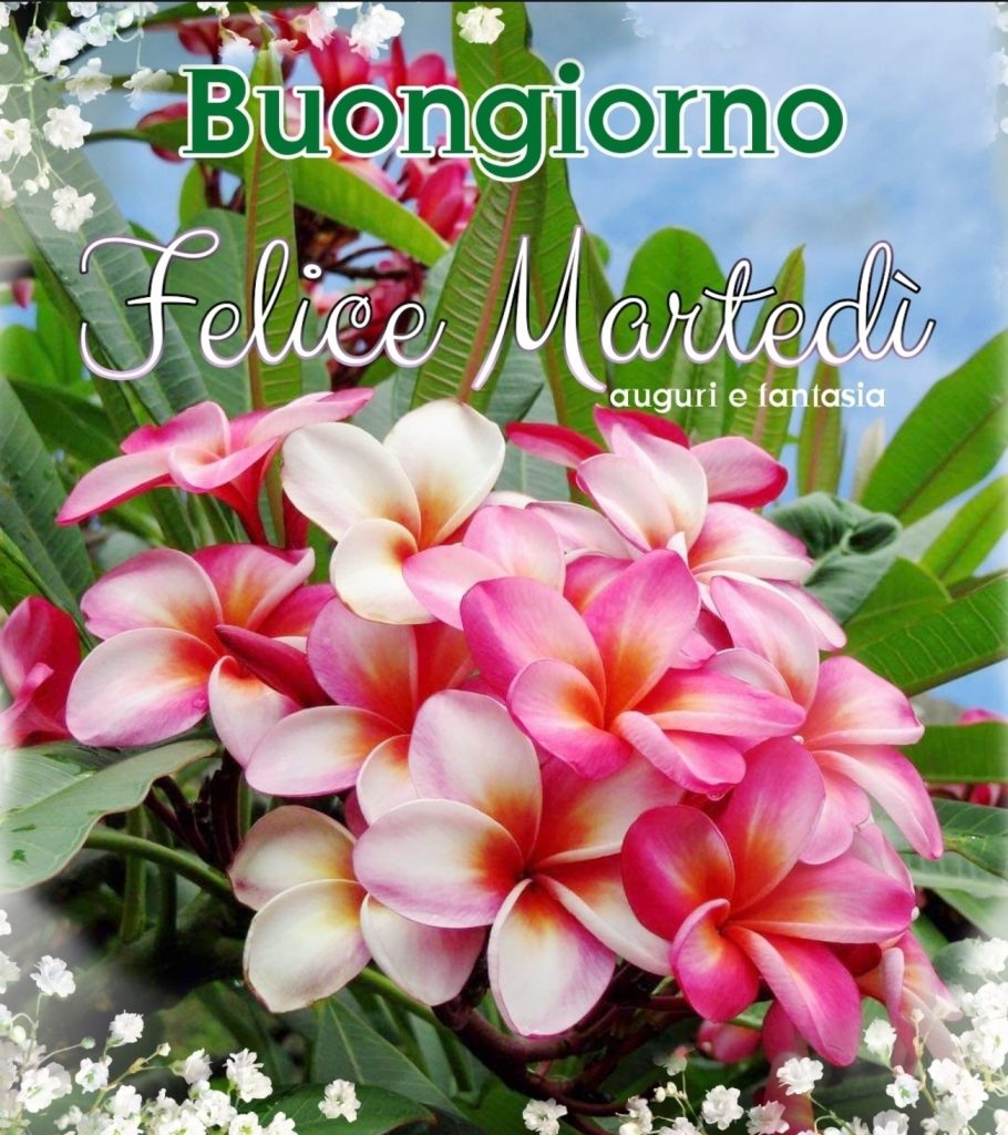 Buongiorno Felice Martedì