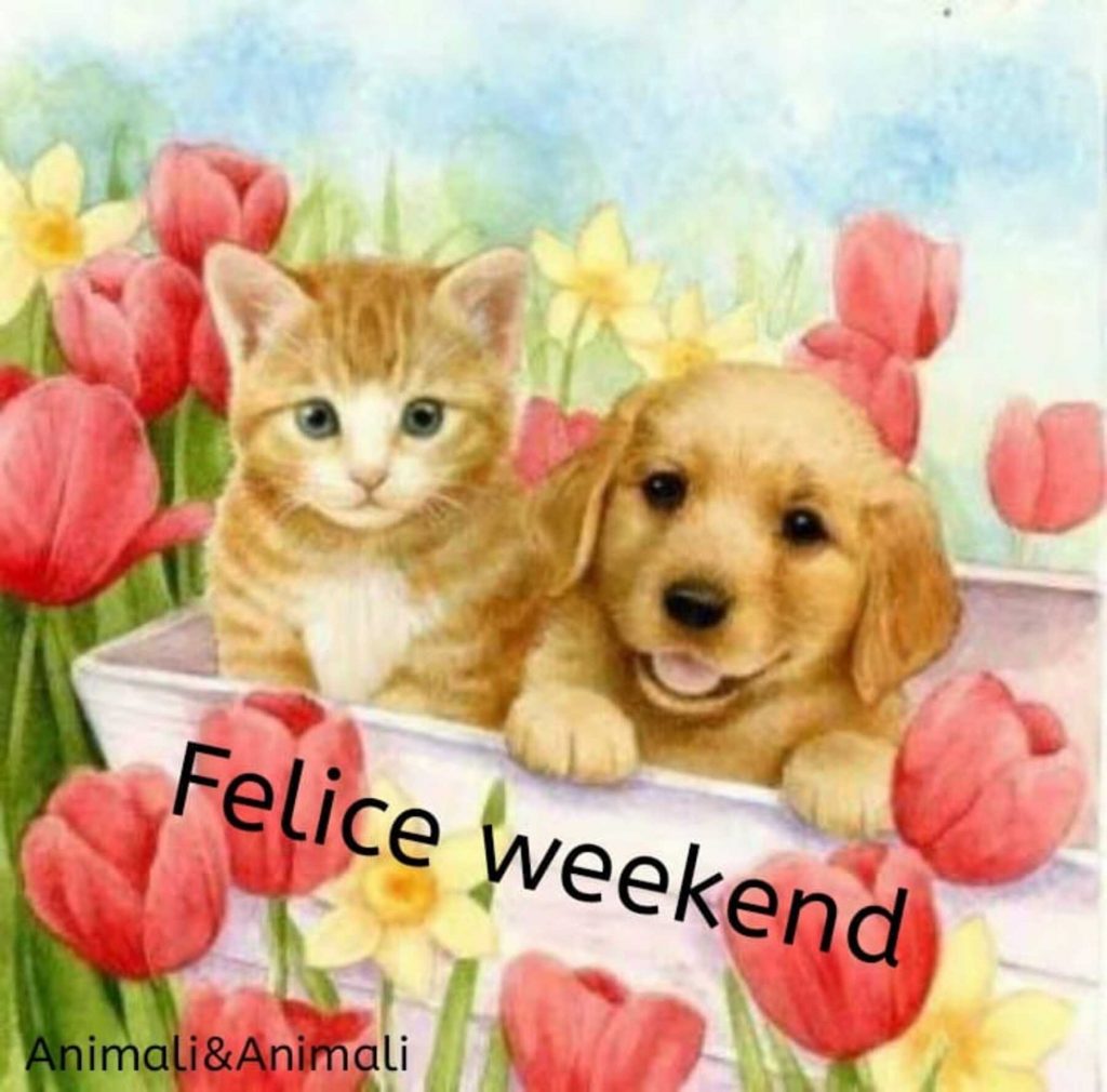 Felice Weekend