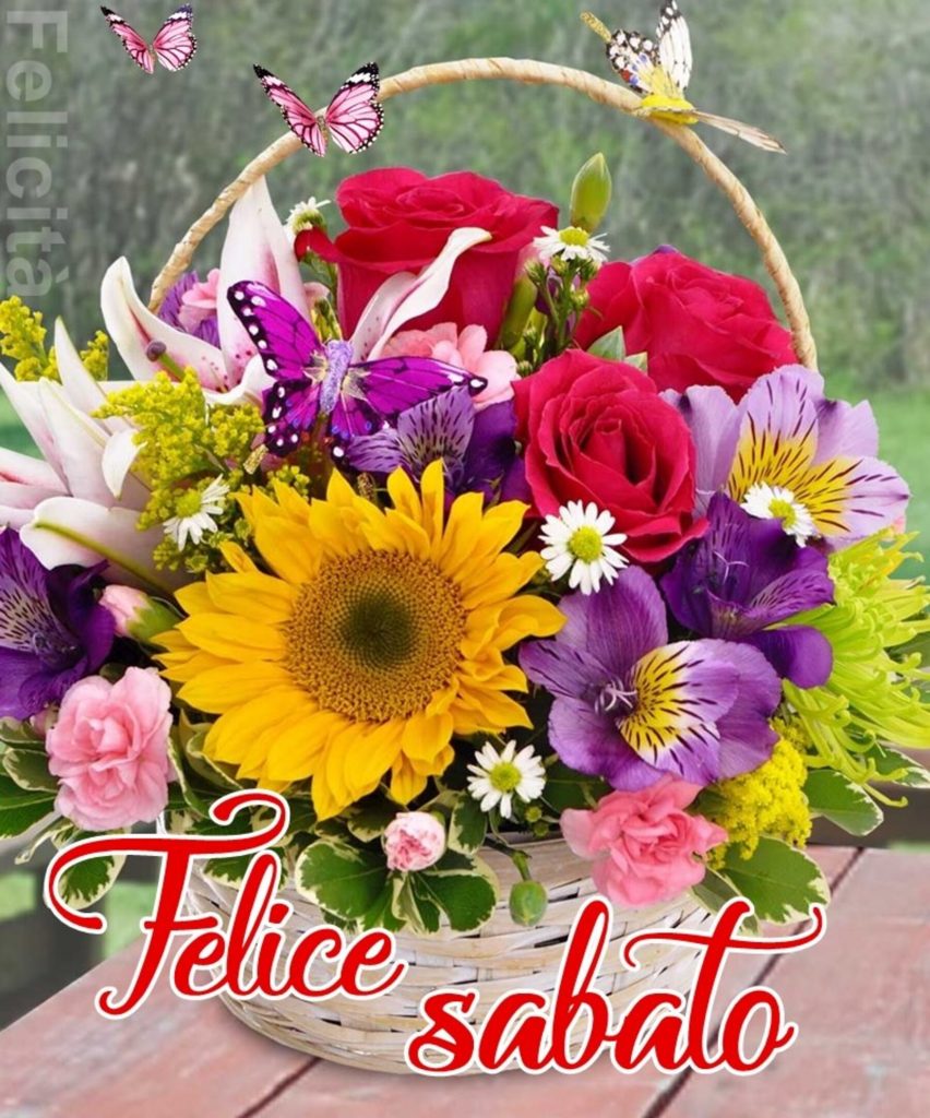 Felice Sabato