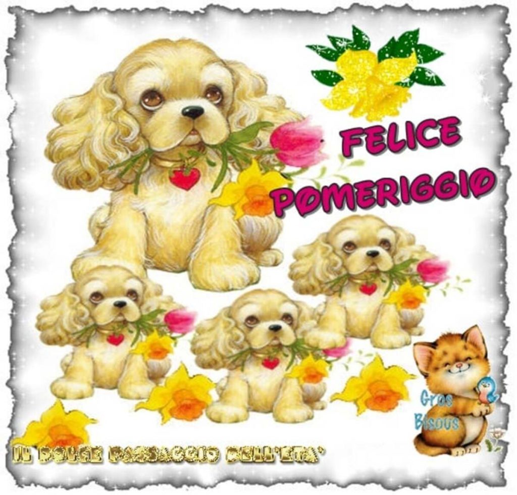 Felice pomeriggio