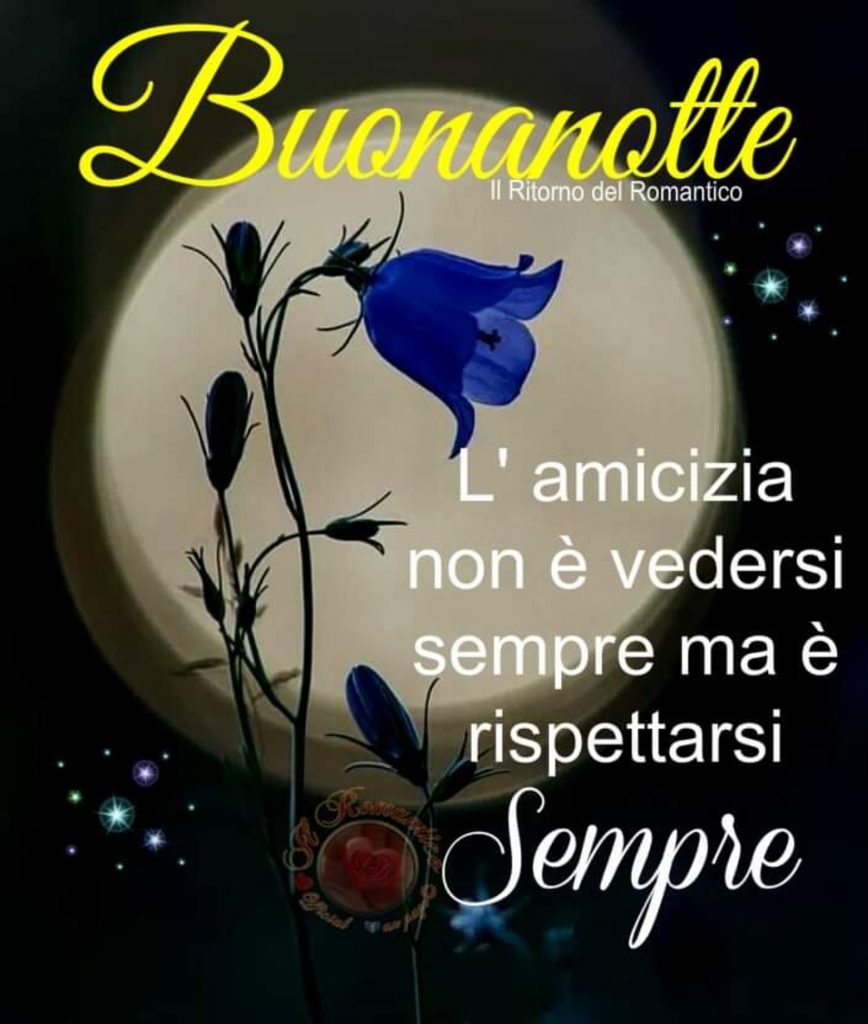 L'amicizia non è vedersi sempre ma è rispettarsi sempre. Buonanotte