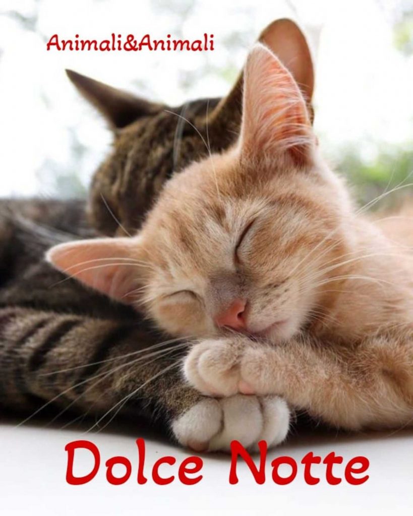 Dolce Notte