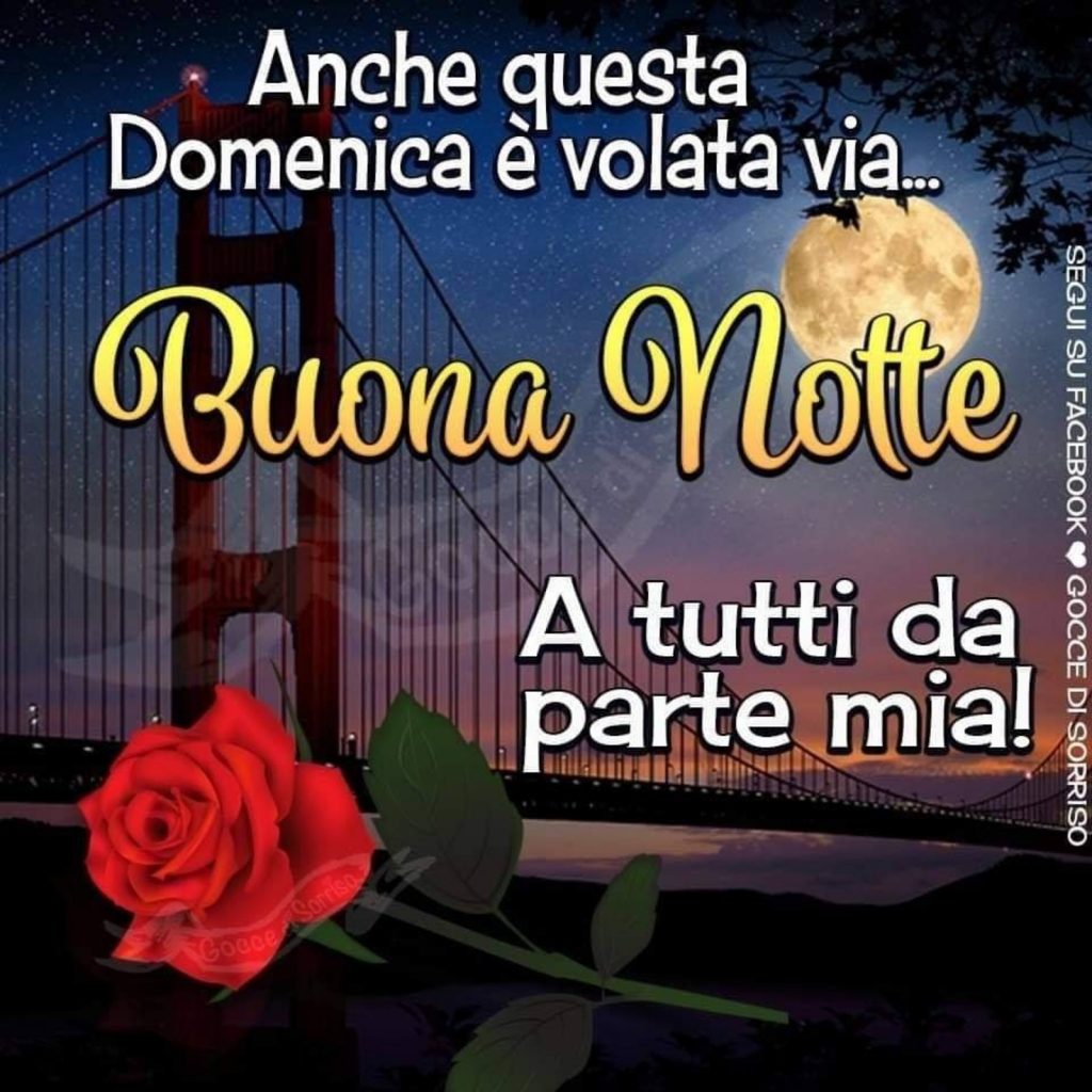 Anche questa Domenica è volata via... Buona Notte a tutti da parte mia!