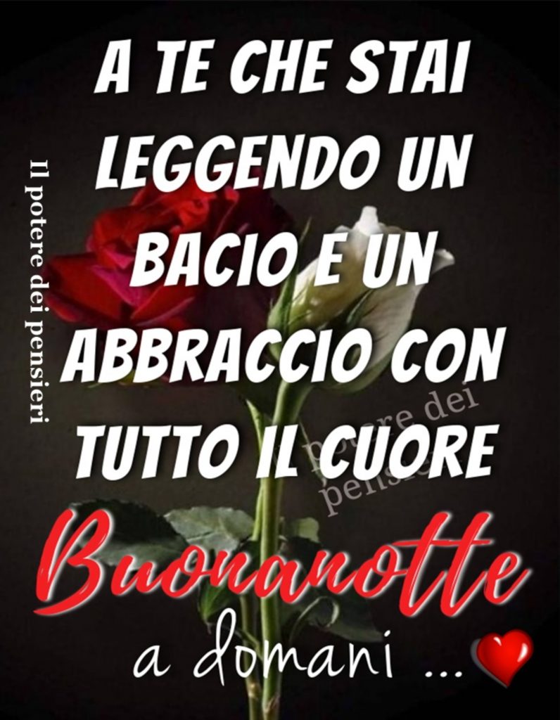 A te che stai leggendo un bacio e un abbraccio con tutto il cuore. Buonanotte a domani...