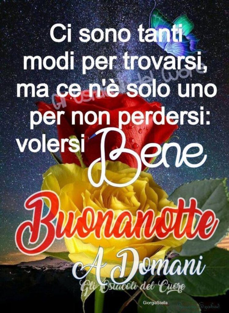 Ci sono tanti modi per trovarsi, ma ce n'è solo uno per non perdersi: Volersi bene. Buonanotte a domani... - Giorgia Stella