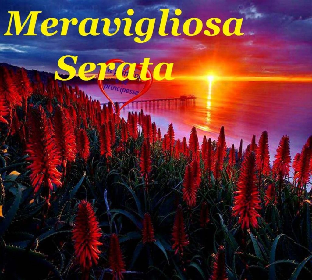 Meravigliosa Serata