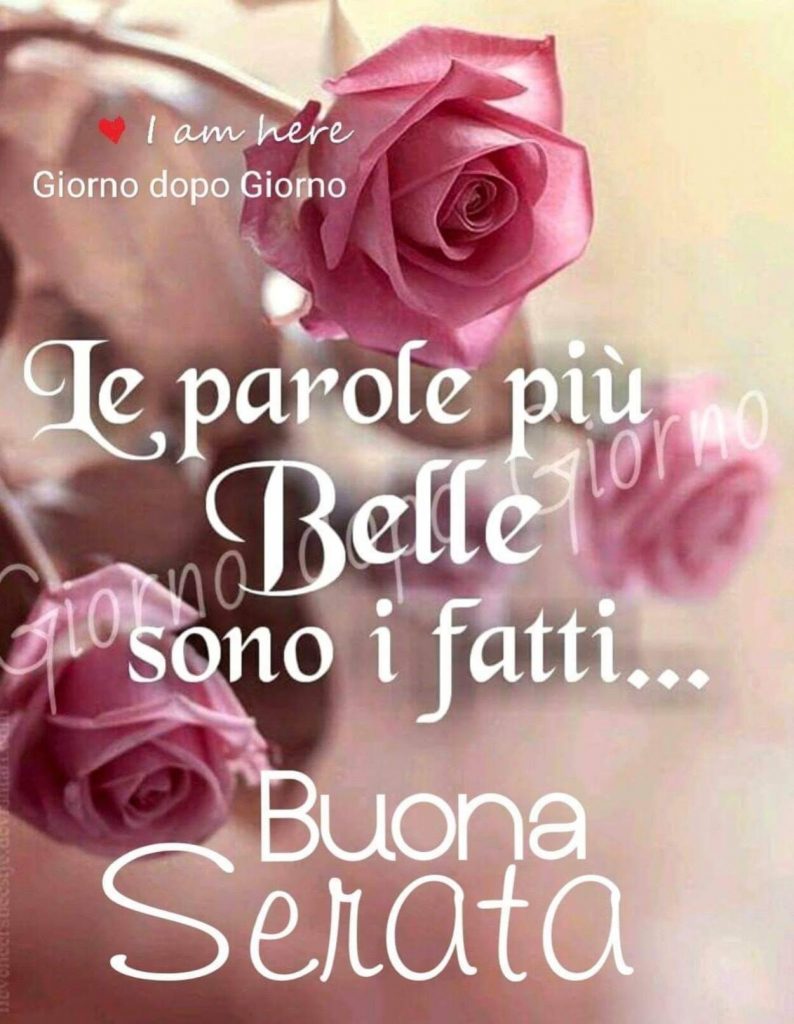 Le parole più belle sono i fatti... Buona Serata (Giorno dopo giorno)