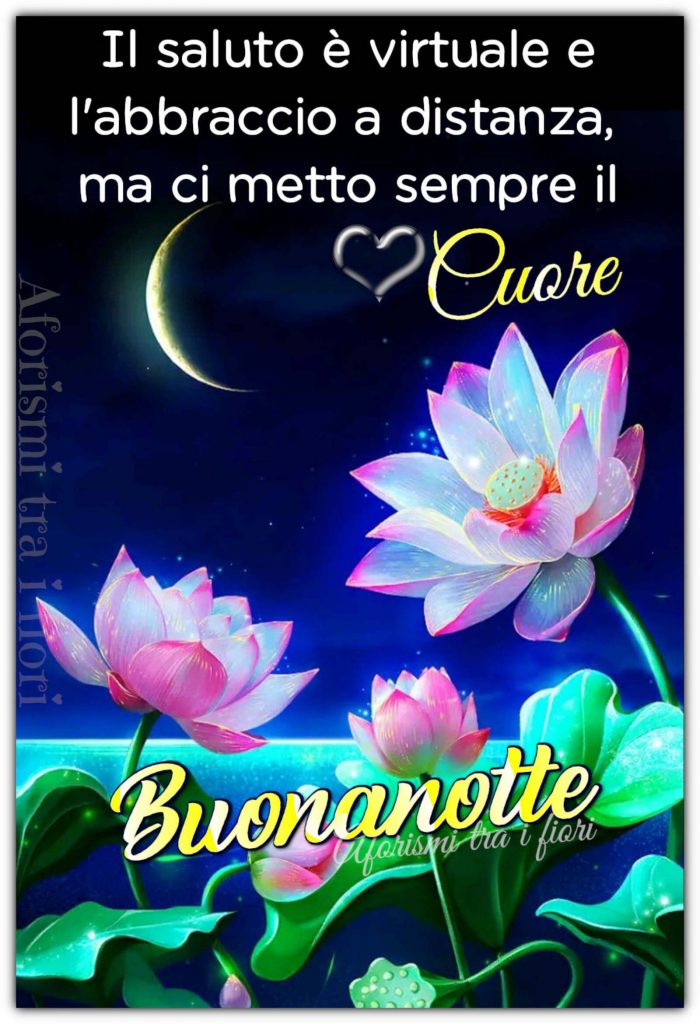 Il saluto è virtuale e l'abbraccio a distanza, ma ci metto sempre il cuore. Buonanotte