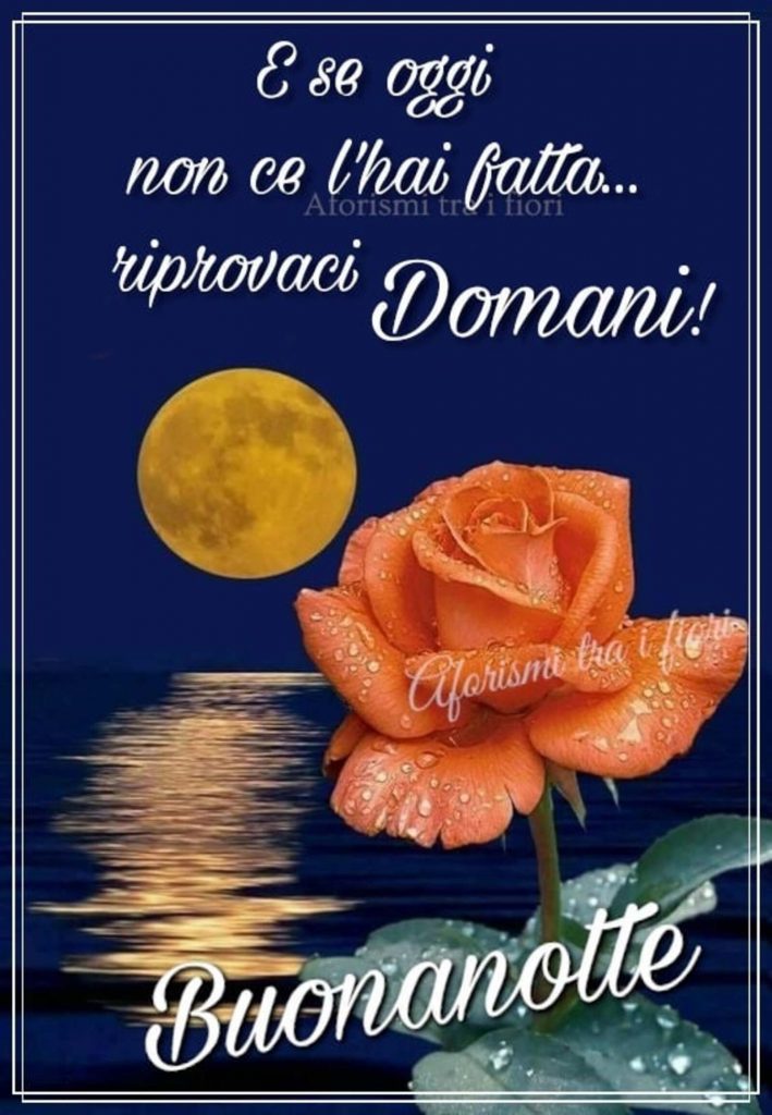 E se oggi... Non ce l'hai fatta... Riprovaci domani ! Buonanotte