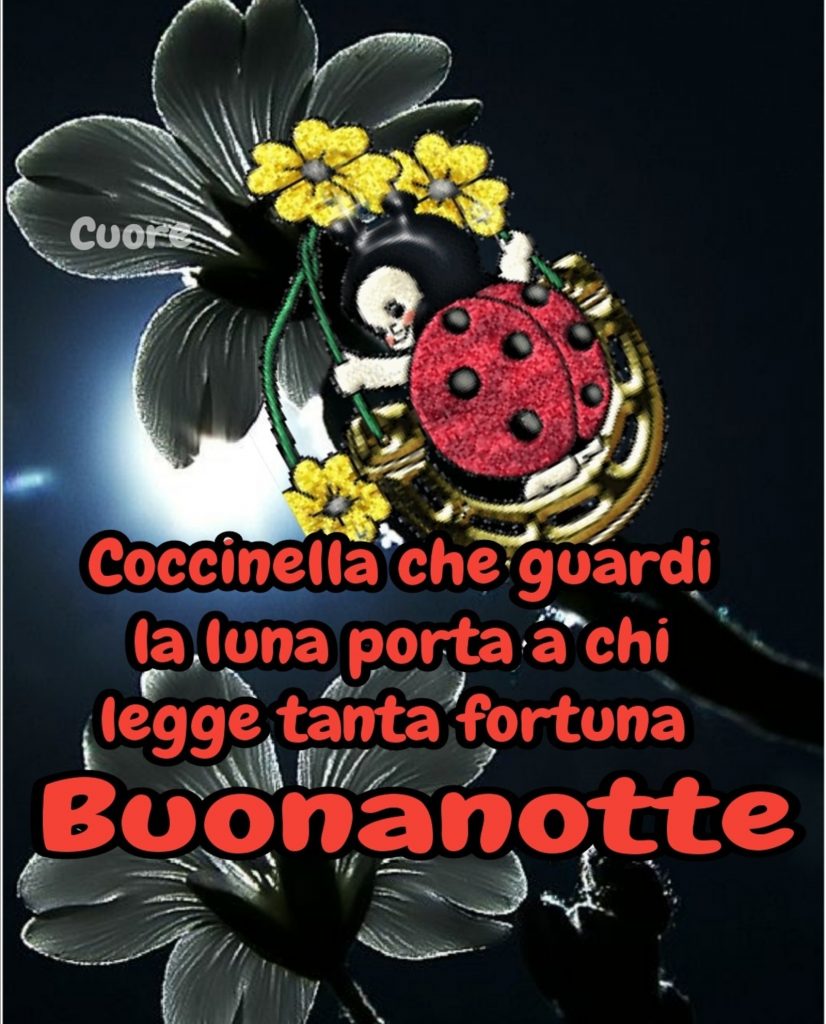 Coccinella che guardi la luna, porta a chi legge tanta fortuna. Buonanotte (Cuore)