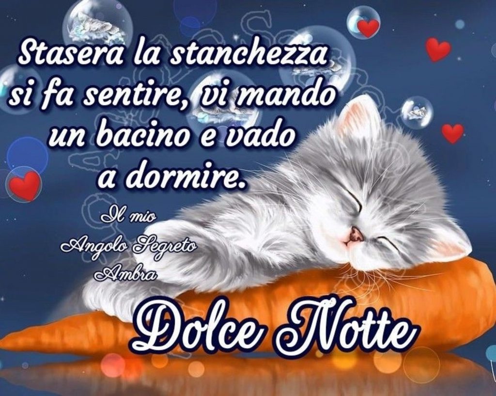 Stasera la stanchezza si fa sentire, vi mando un bacino e vado a dormire. Dolce Notte