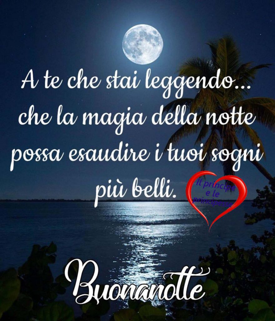 A te che stai leggendo... Che la magia della notte possa esaudire i tuoi sogni più belli. Buonanotte