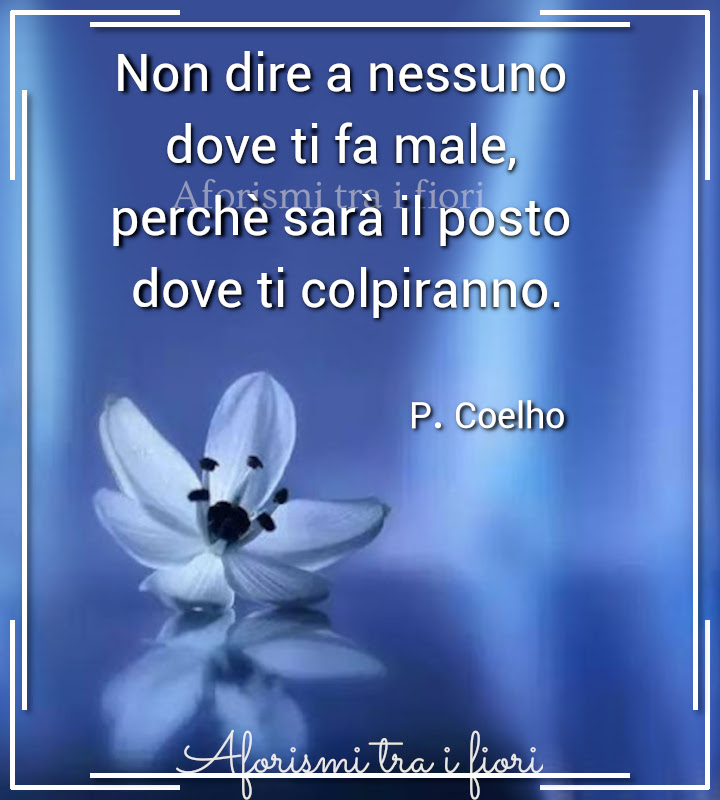 "Non dire a nessuno dove ti fa male, perché sarà il primo posto dove ti colpiranno." - P. Coelho