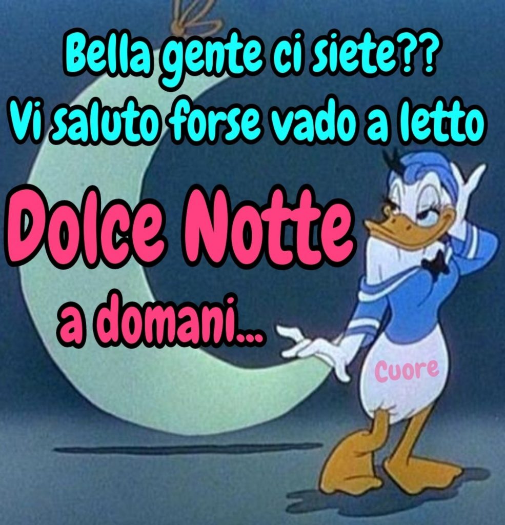 "Bella gente ci siete?? Vi saluto forse vado a letto. Dolce Notte a domani..."