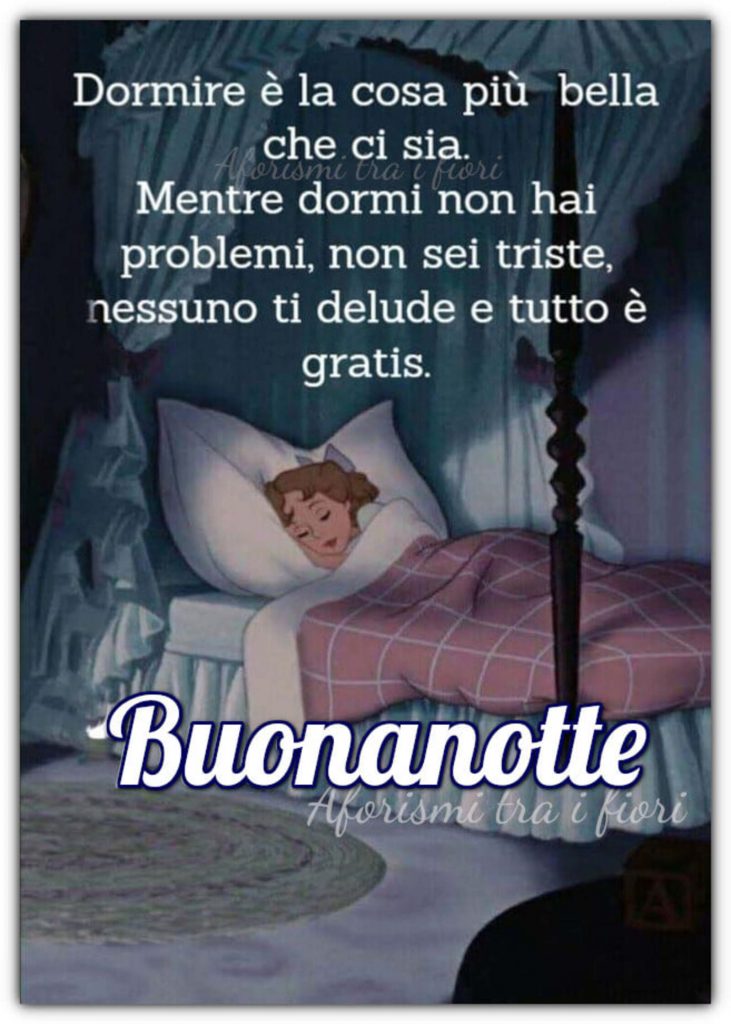 Dormire è la cosa più bella che ci sia. Mentre dormi non hai problemi, non sei triste, nessuno ti delude e tutto è gratis. Buonanotte