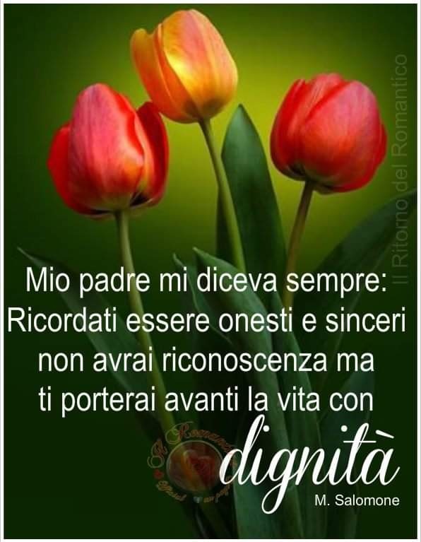 Mio padre diceva sempre: "Ricordati essere onesti e sinceri non avrai riconoscenza ma ti porterai avanti la vita con dignità." - M. Salomone