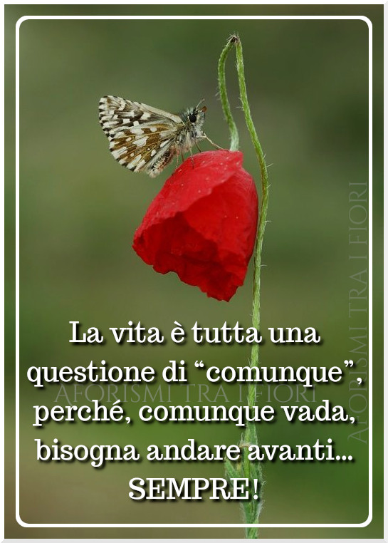 La vita è tutta una questione di "comunque" , perché, comunque vada, bisogna andare avanti... SEMPRE!