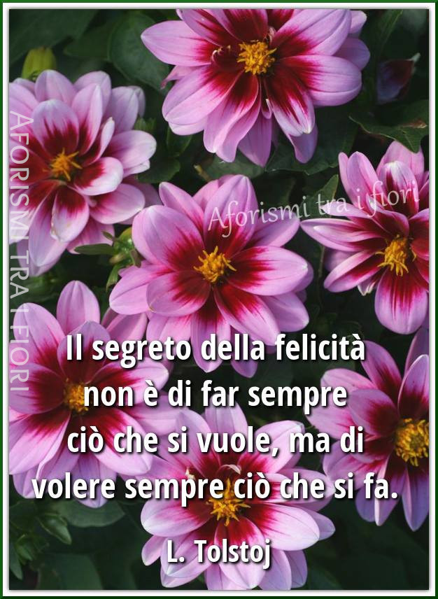 frasi sulla vita