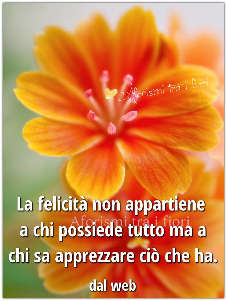 La felicità non appartiene a chi possiede tutto ma a chi sa apprezzare ciò che ha. (Aforismi tra i fiori)