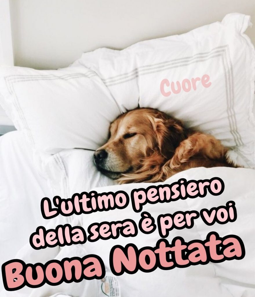 L'ultimo pensiero della sera è per voi Buona Notte