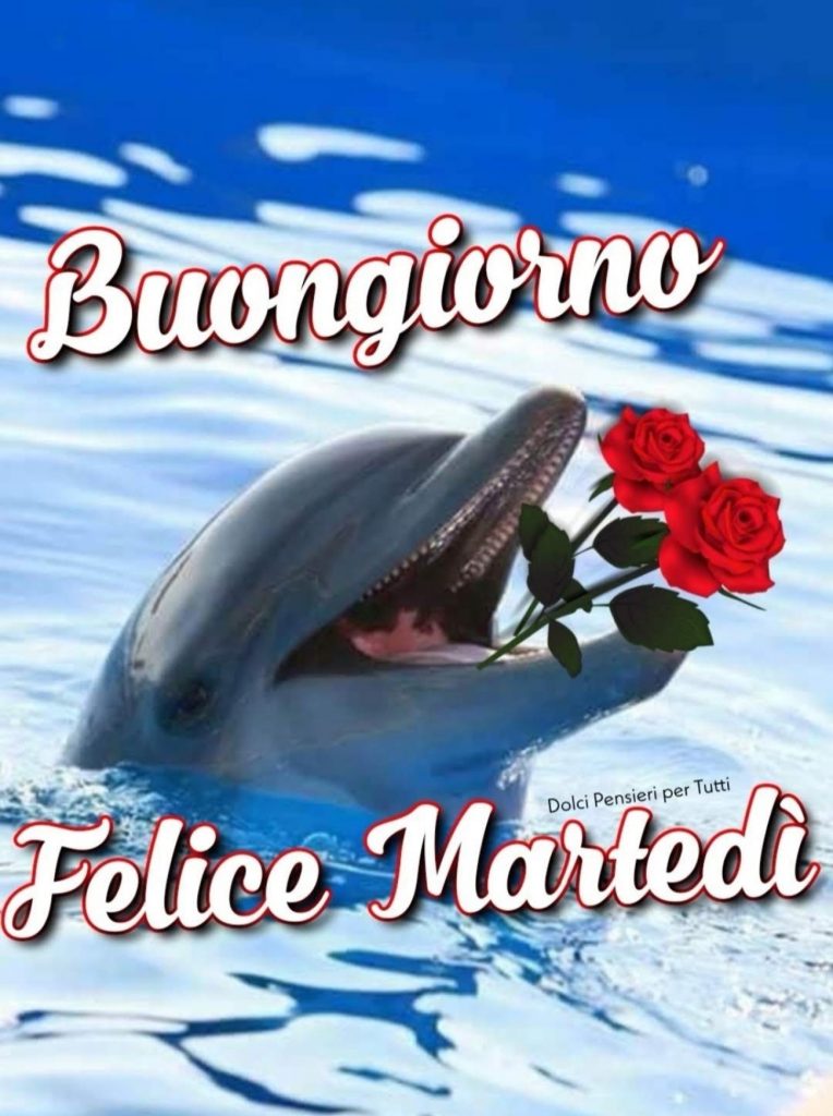 44 immagini bellissime di Buon Martedì - Buongiorno.gratis