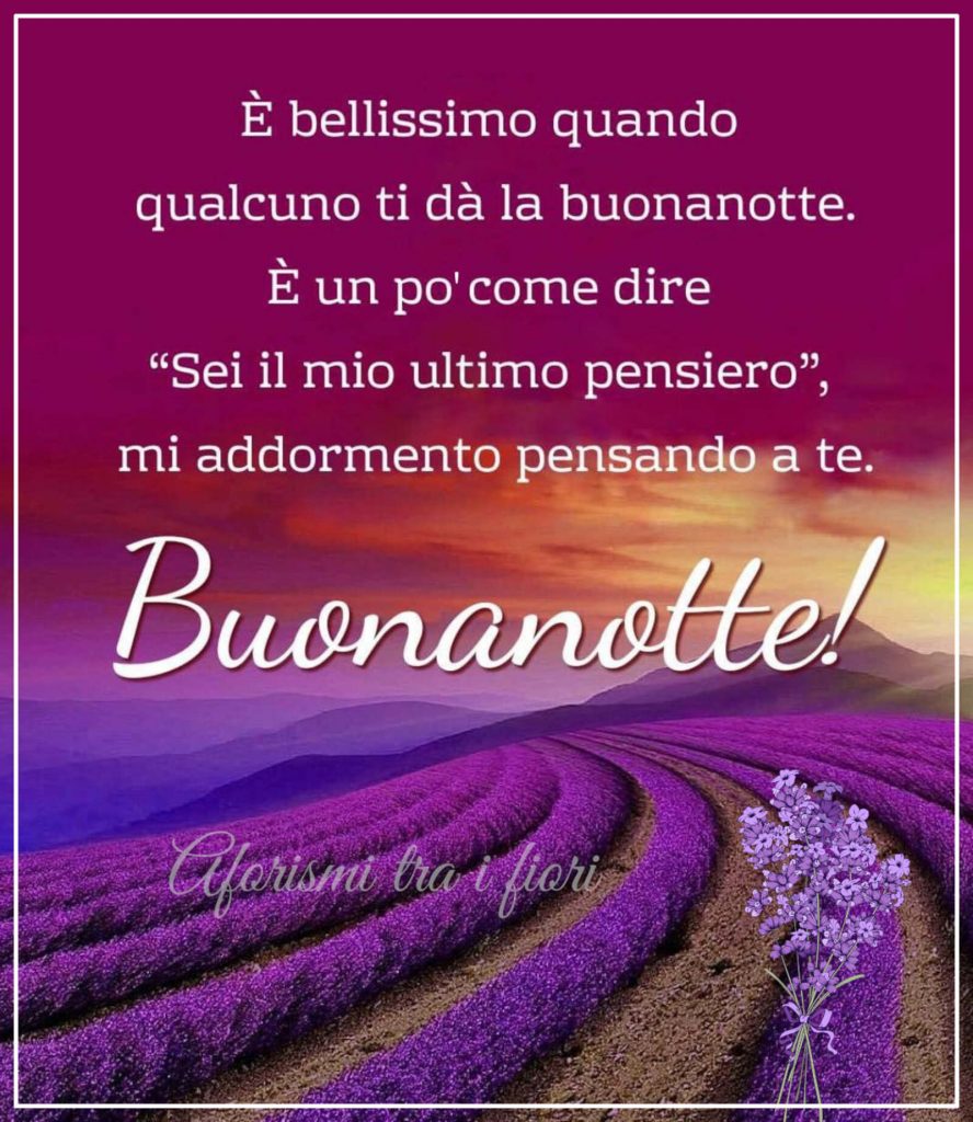 È bellissimo quando qualcuno ti dà la buonanotte. È un pò come dire "Sei il mio ultimo pensiero", mi addormento pensando a te. Buonanotte!