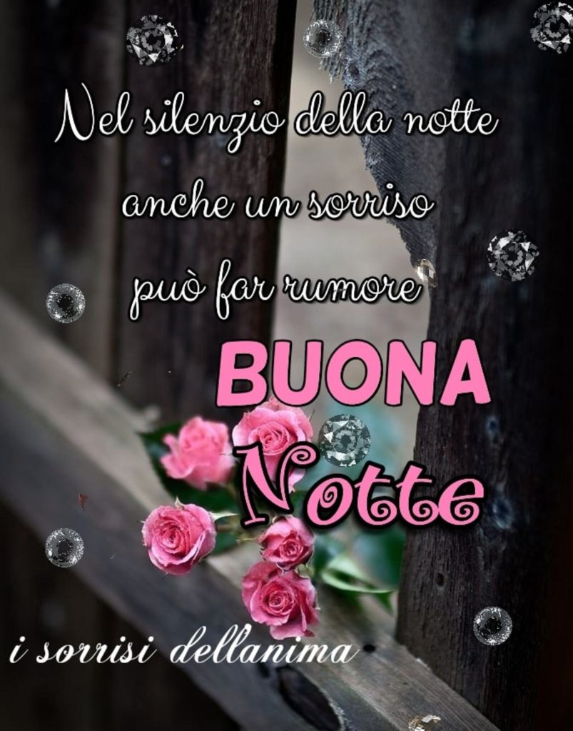 Nel silenzio della notte, anche un sorriso può far rumore. Buona Notte (I sorrisi dell'anima)