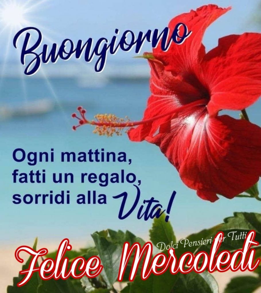 Ogni mattina fatti un regalo: sorridi alla vita! Felice Mercoledì