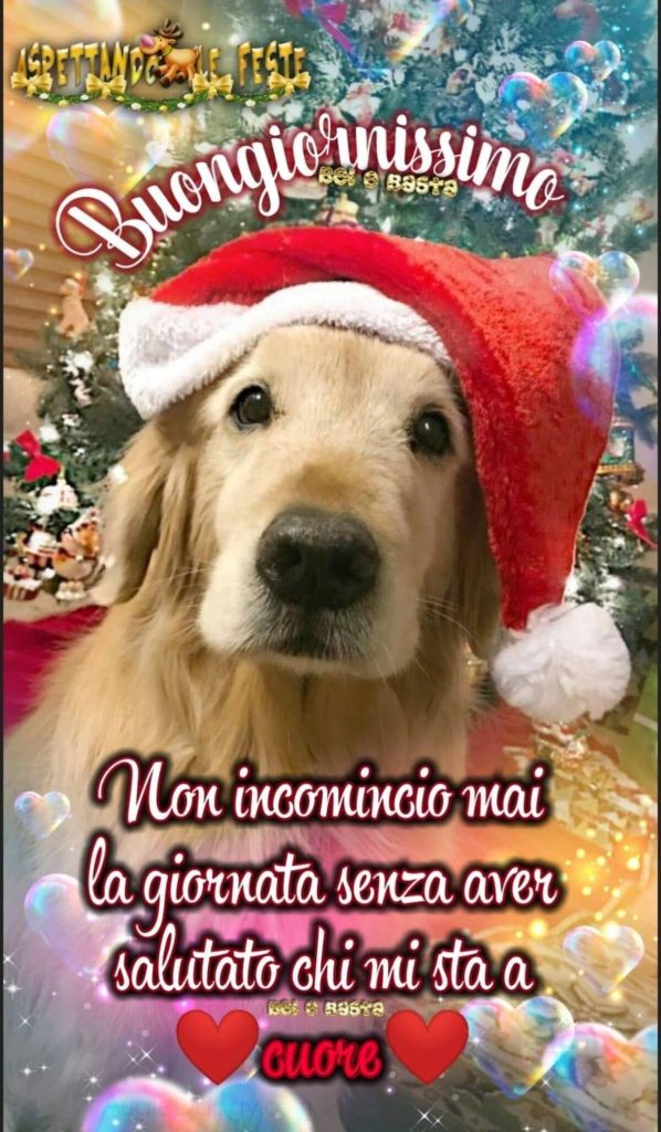 Buongiornissimo. Non incomincio mai la giornata senza aver salutato chi mi sta a cuore. (Natale)