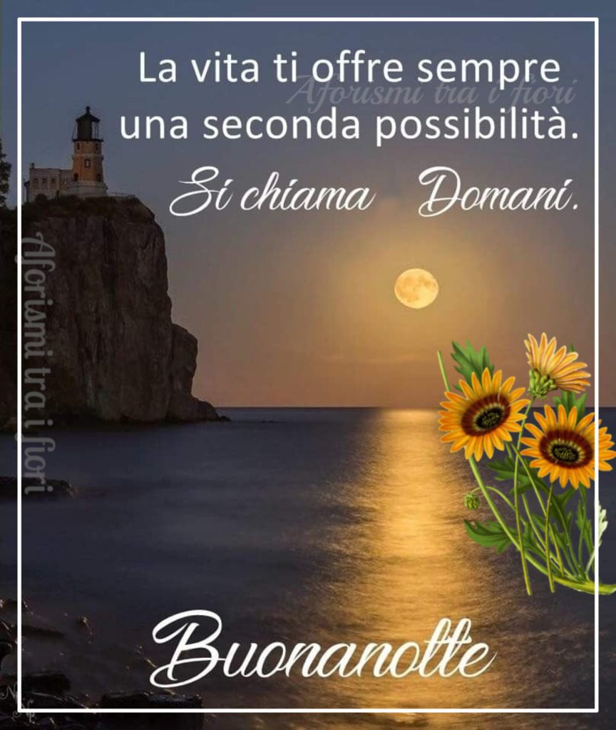 La vita ti offre sempre una seconda possibilità. Si chiama domani. Buonanotte (Aforismi tra i fiori)