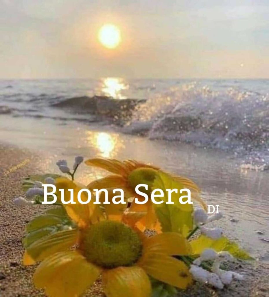 Buona Sera