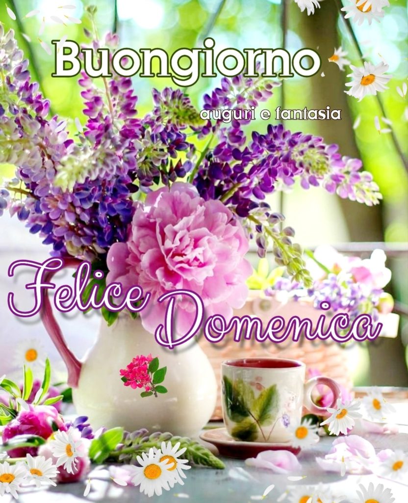 buona domenica fiori