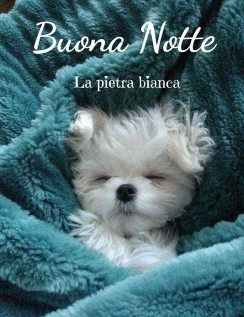 immagini nuove di buonanotte